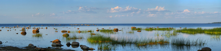 Финский залив, лето, панорама, широкоформатное изображение высокого разрешения