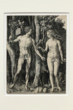 Альбрехт Дюрер - фотовыствка в Эрмитаже - гравюра - Адам и Ева