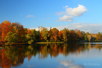 Пушкин, Екатерининский парк, Большой пруд, изображение высокого разрешения, качественное фото
