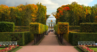 Пушкин, Екатерининский парк, осень, изображение высокого разрешения, качественное фото