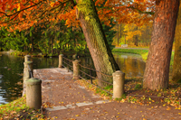 Пушкин, осень, мост, павильон, панорама, фото