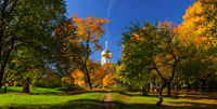 Пушкин, осень, озеро, церковь, изображение высокого разрешения, качественное фото
