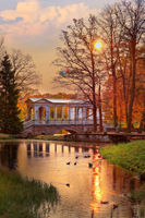 Пушкин, осень, Мраморный, мост, изображение высокого разрешения, фотография